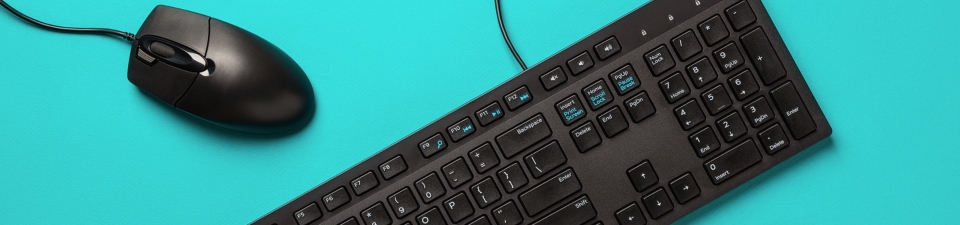 A keyboard and mouse on a turquoise background
