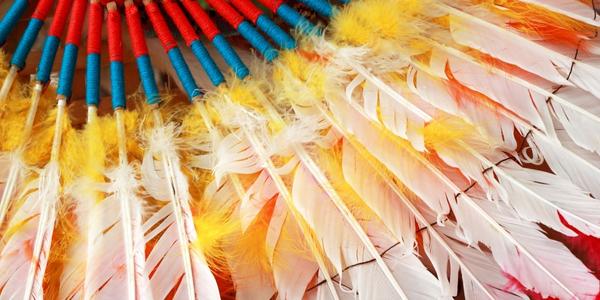 close-up of traditional feathered headdress