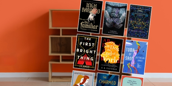 orange wall with a bookshelf with various book covers