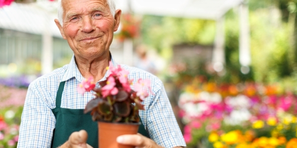 older adult holding a potted plant at a garden centre with flowers in the background
