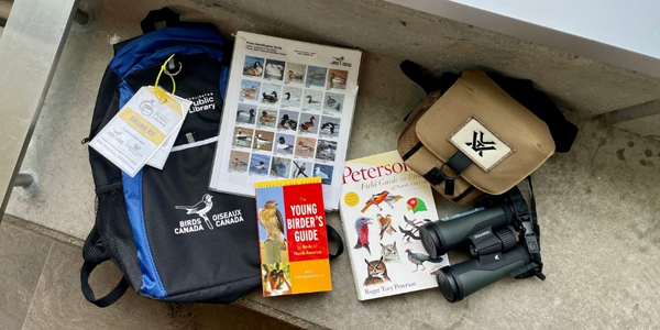 backpack on bench beside binoculars, lens cloth, local bird info sheets, and bird guides
