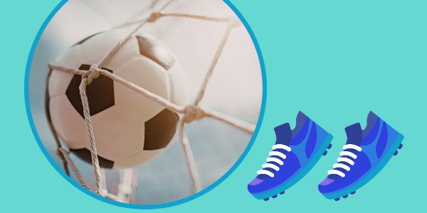 soccer ball in a net
