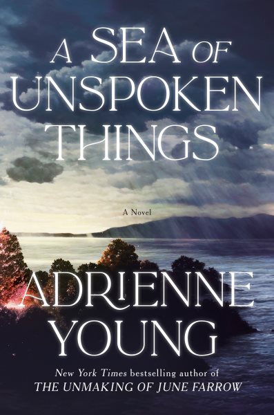 book cover of A Sea of Unspoken Things