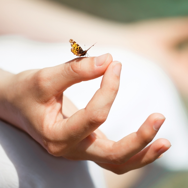 a hand in a yoga pose with a butterfly perched on it