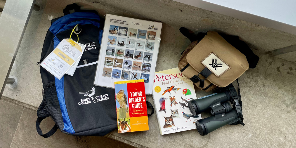 a backpack, binoculars and two bird books sitting on a concrete bench