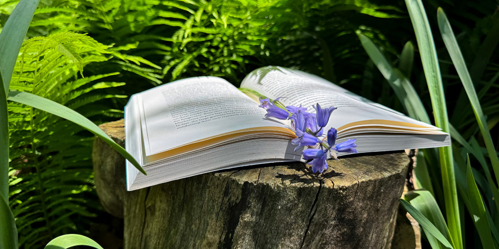 open book with a sprig of purple flower placed on a wood log