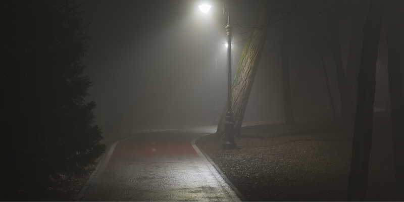 Moonlit trail